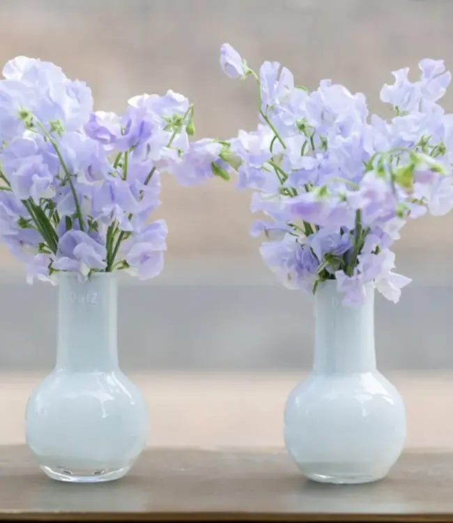 DutZ Vaas Masa | H18 x D11 cm | 3 Kleuren