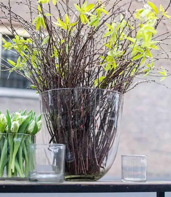 DutZ Cilinder Vaas | Helder | H35 x D35 cm