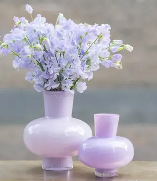 DutZ Vaas Modest | Lila | H20 x D18 cm