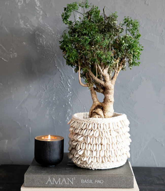 Bazar Bizar De Bondi Kaarshouder