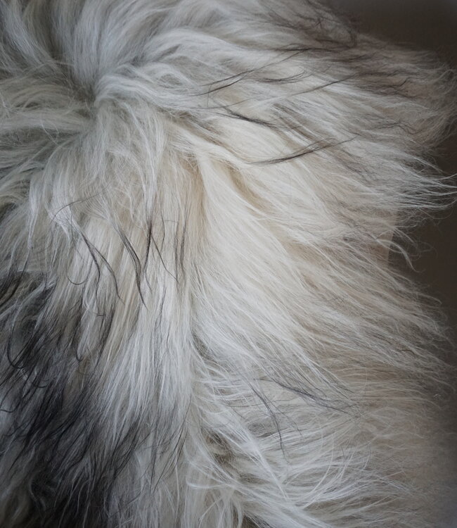 Rene Houtman Schapenvacht | Grijs | H110 x B66 cm