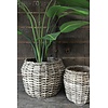 Set Van 2 Manden Zala | Rattan Grey H40 & H32 Cm