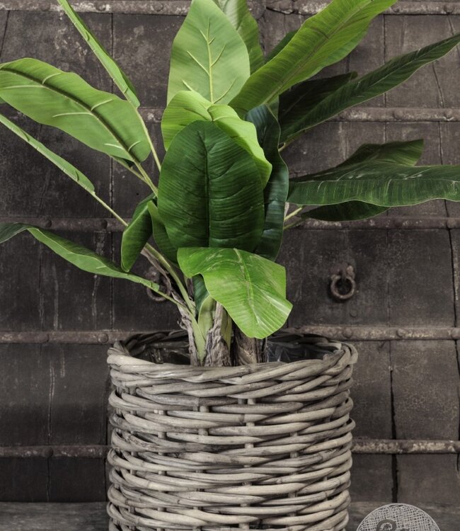 Be-Uniq Set Van 3 manden Sera H40, H35, H30 | Rattan Grey