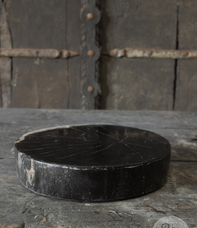 Be-Uniq Schijf Versteend Hout | Indonesie | D25 x H5 cm