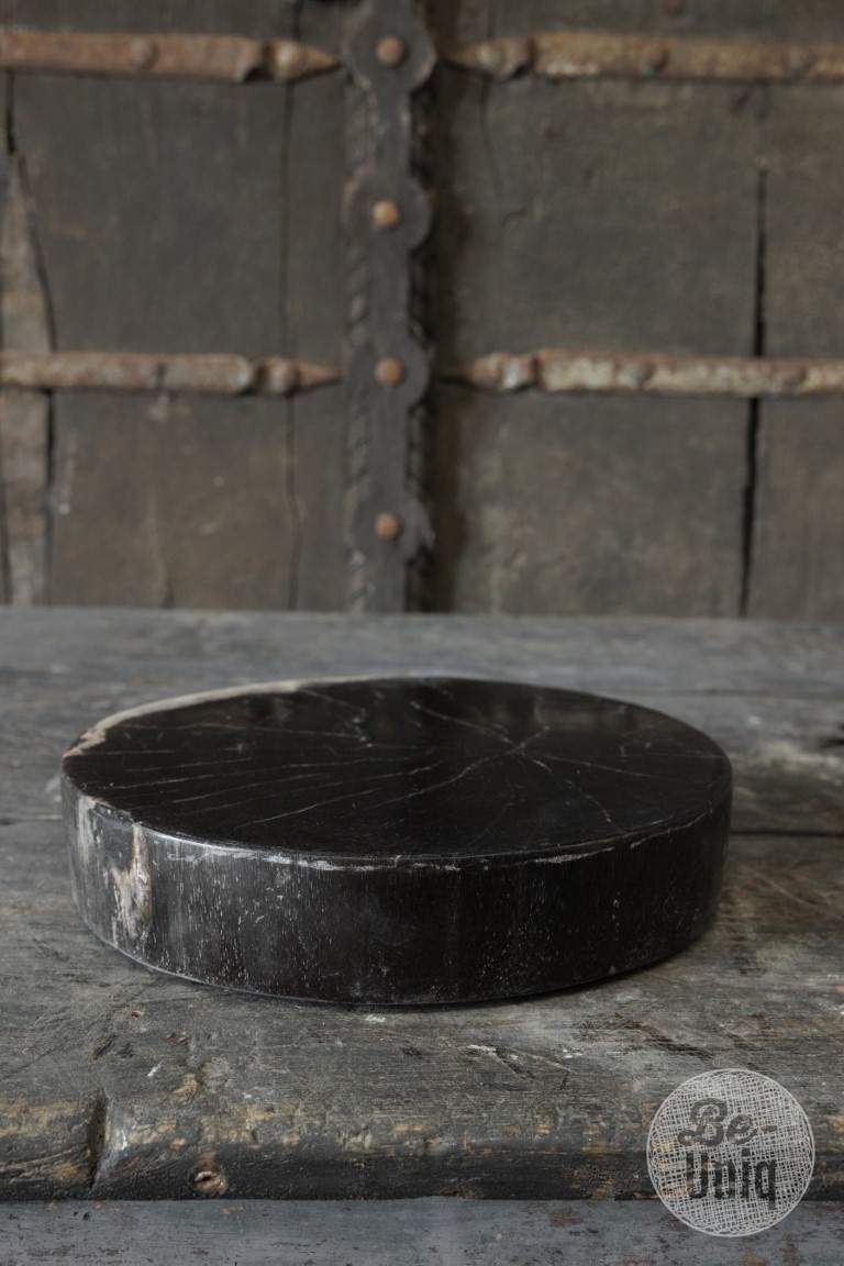 Be-Uniq Schijf Versteend Hout | Indonesie | D25 x H5 cm