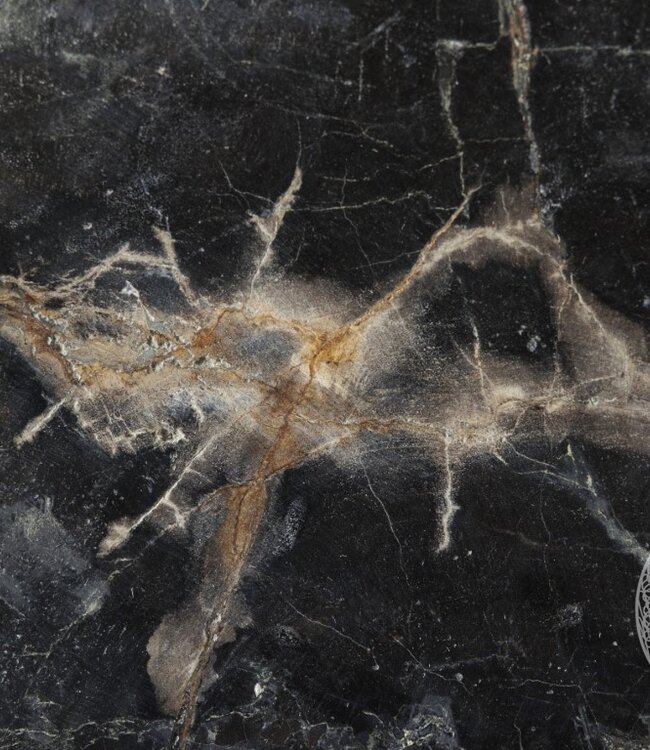 Be-Uniq Schijf Versteend Hout | Indonesie | D30 x H5 cm