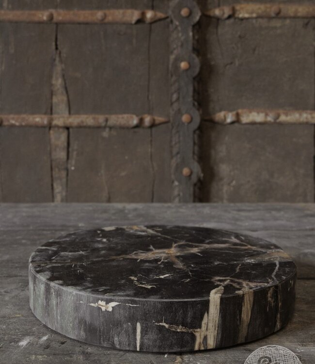Be-Uniq Schijf Versteend Hout | Indonesie | D30 x H5 cm