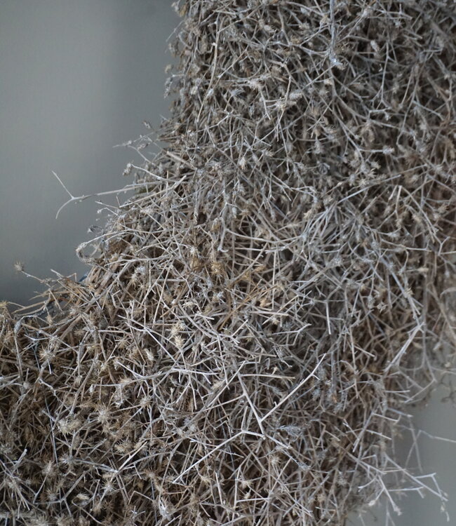 Rene Houtman Distelkrans | White Wash | D100 cm