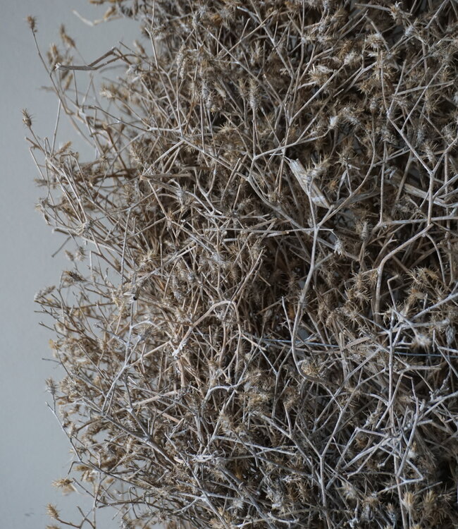 Rene Houtman Distelkrans | White Wash | D100 cm