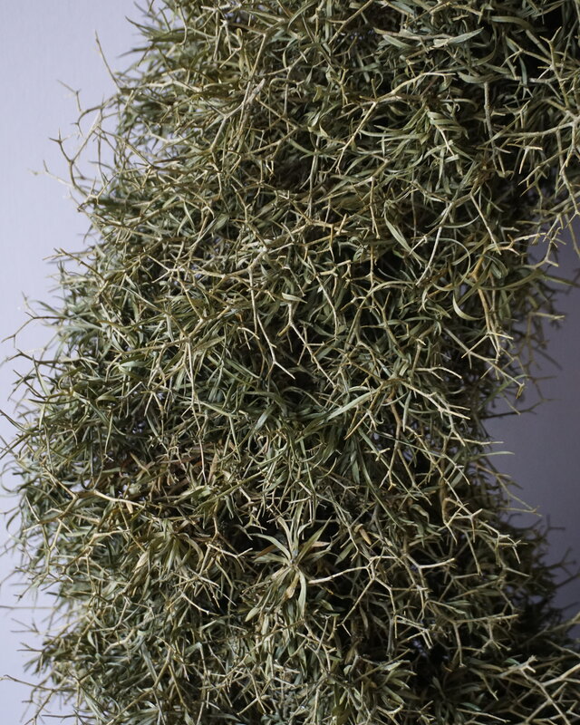 Rene Houtman Krans Iron Bush | Naturel | D50 cm