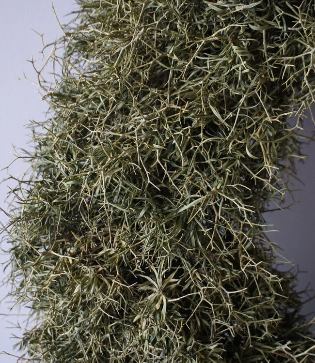 Rene Houtman Krans Iron Bush | Naturel | D50 cm