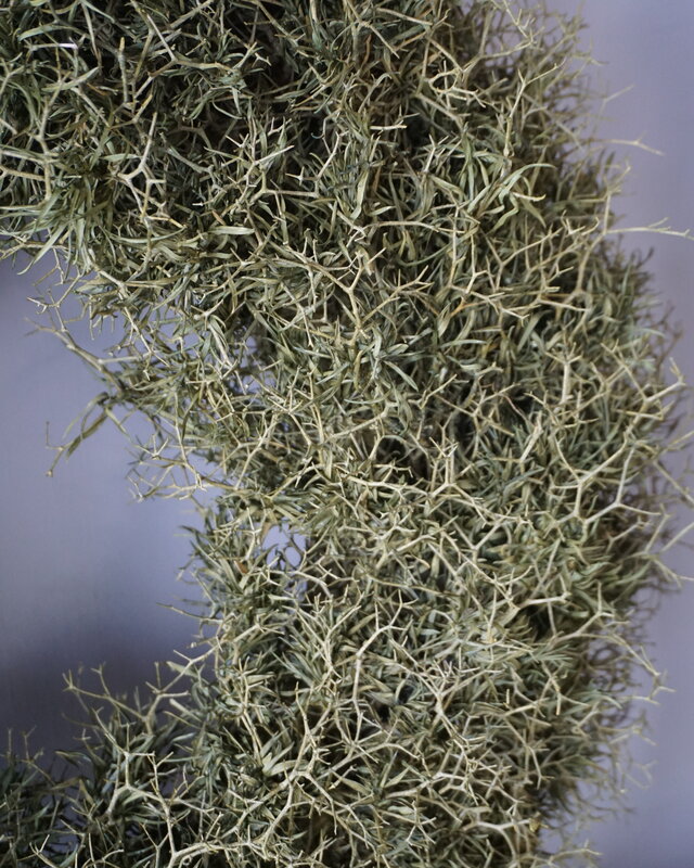 Rene Houtman Krans Iron Bush | Naturel | D50 cm