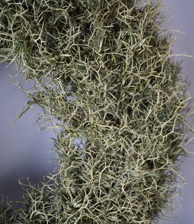 Rene Houtman Krans Iron Bush | Naturel | D50 cm