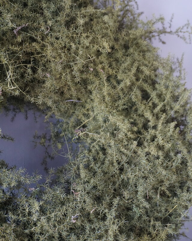 Rene Houtman Krans Asparagus | D60 cm
