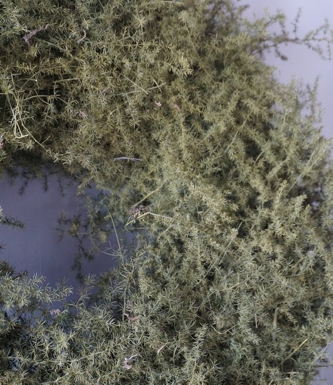 Rene Houtman Krans Asparagus | D60 cm