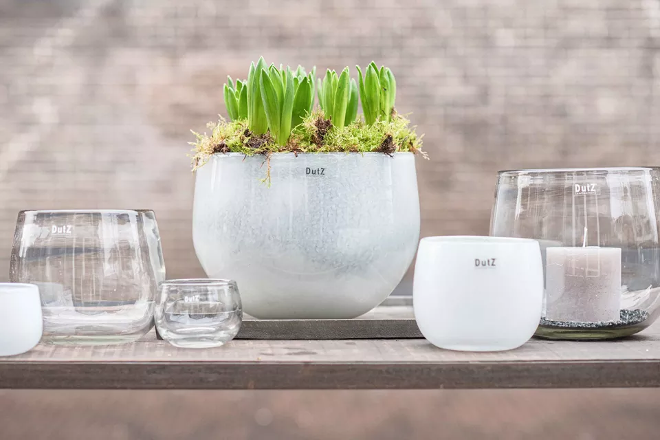 DutZ Pot | Helder | H22 x D25 cm