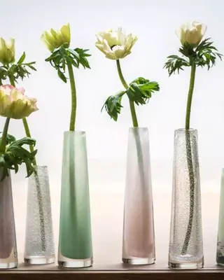 DutZ Vaas Solifleur | Helder Met Bubbels | 2 Maten