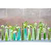 Vaas Solifleur | Limegroen | 2 Maten