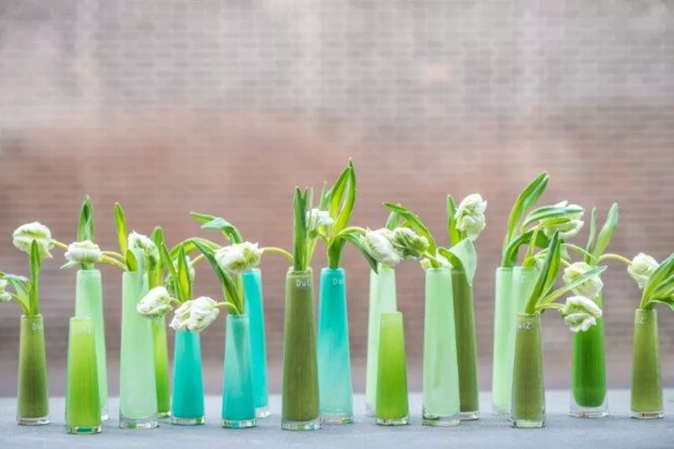 DutZ Vaas Solifleur | Limegroen | 2 Maten