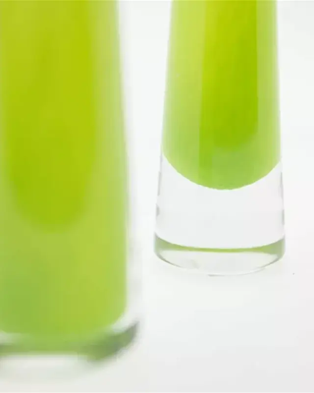 DutZ Vaas Solifleur | Limegroen | 2 Maten