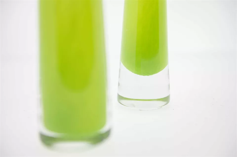 DutZ Vaas Solifleur | Limegroen | 2 Maten