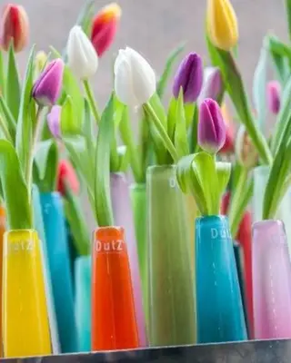 DutZ Vaas Solifleur | Beige | 2 Maten
