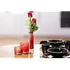 Kaarsenglas | Rood | H10 x D10 cm