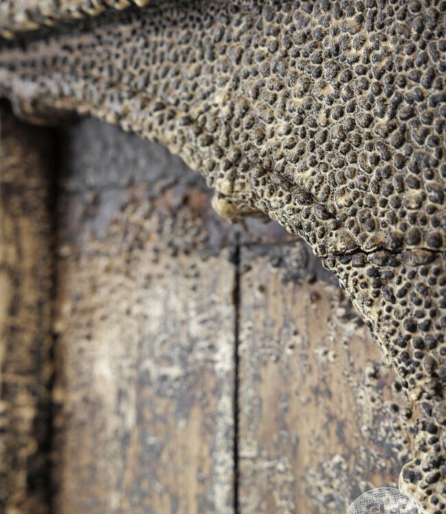 Be-Uniq Origineel Raampaneel | India | H149xB89xD9 cm