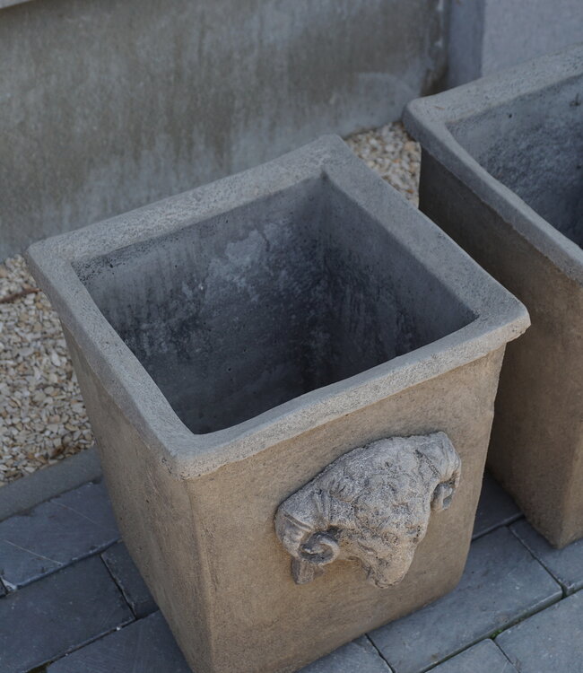 Il Cupido Pot Bloembak Beton Ramskop H40 x B33 Cm