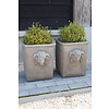 Pot Bloembak Beton Ramskop H40 x B33 Cm