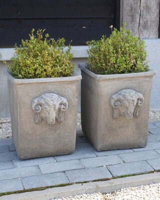 Il Cupido Pot Bloembak Beton Ramskop H40 x B33 Cm