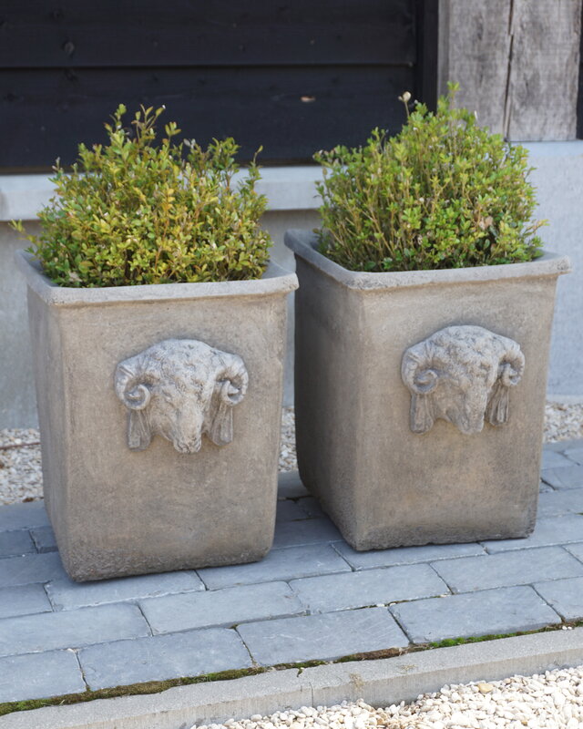 Il Cupido Pot Bloembak Beton Ramskop H40 x B33 Cm
