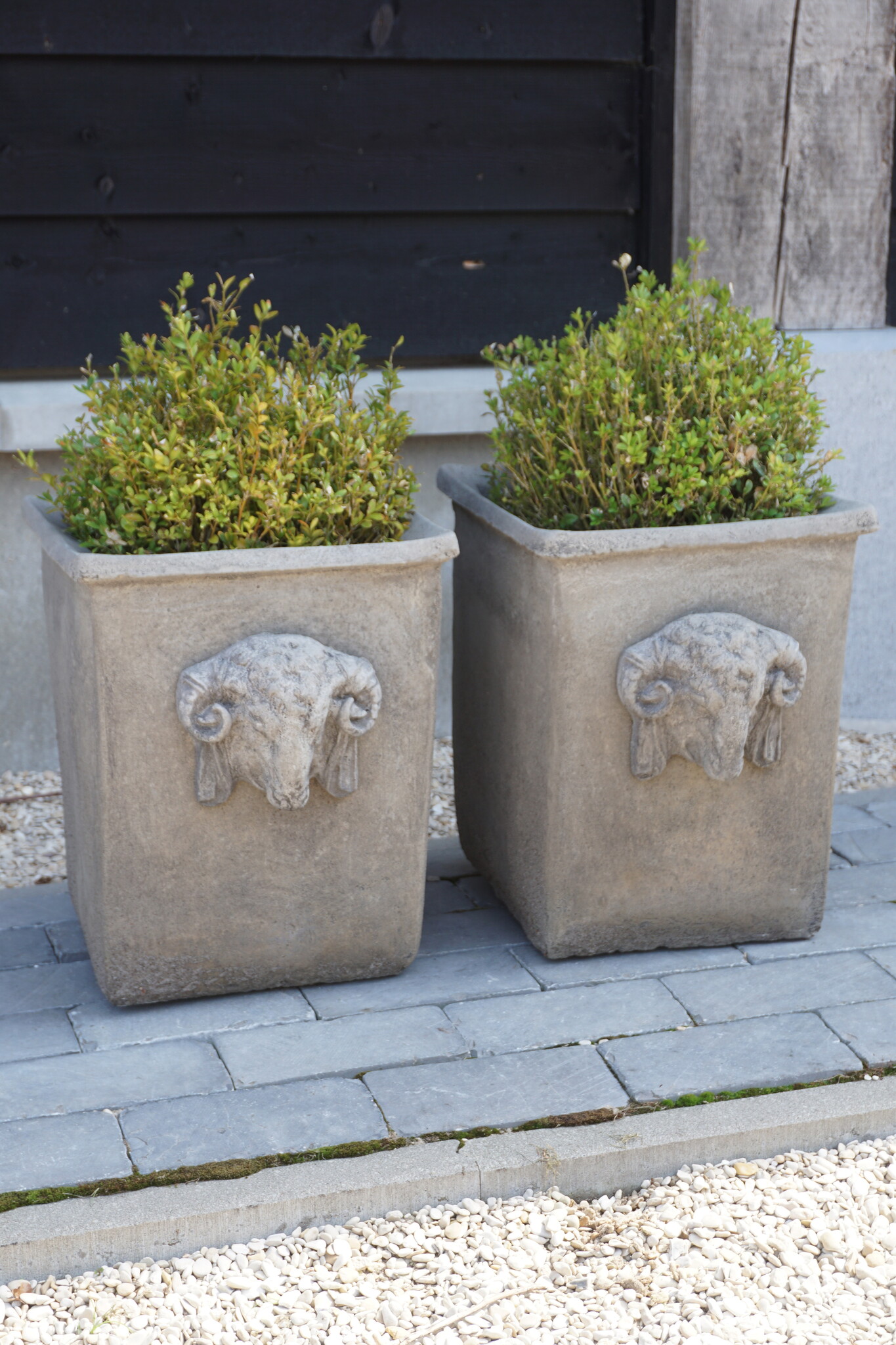 Il Cupido Pot Bloembak Beton Ramskop H40 x B33 Cm
