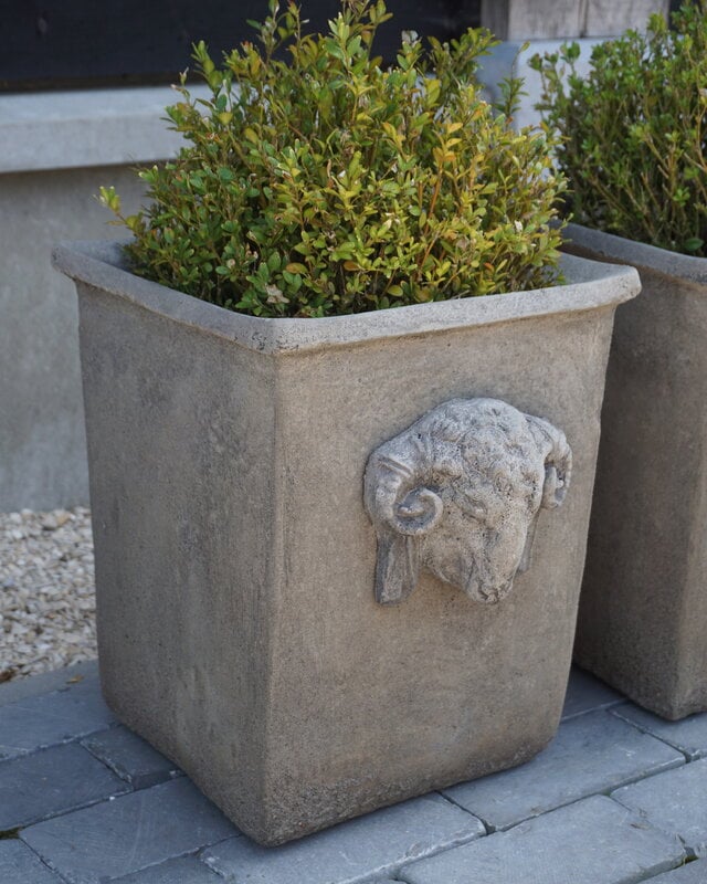 Il Cupido Pot Bloembak Beton Ramskop H40 x B33 Cm