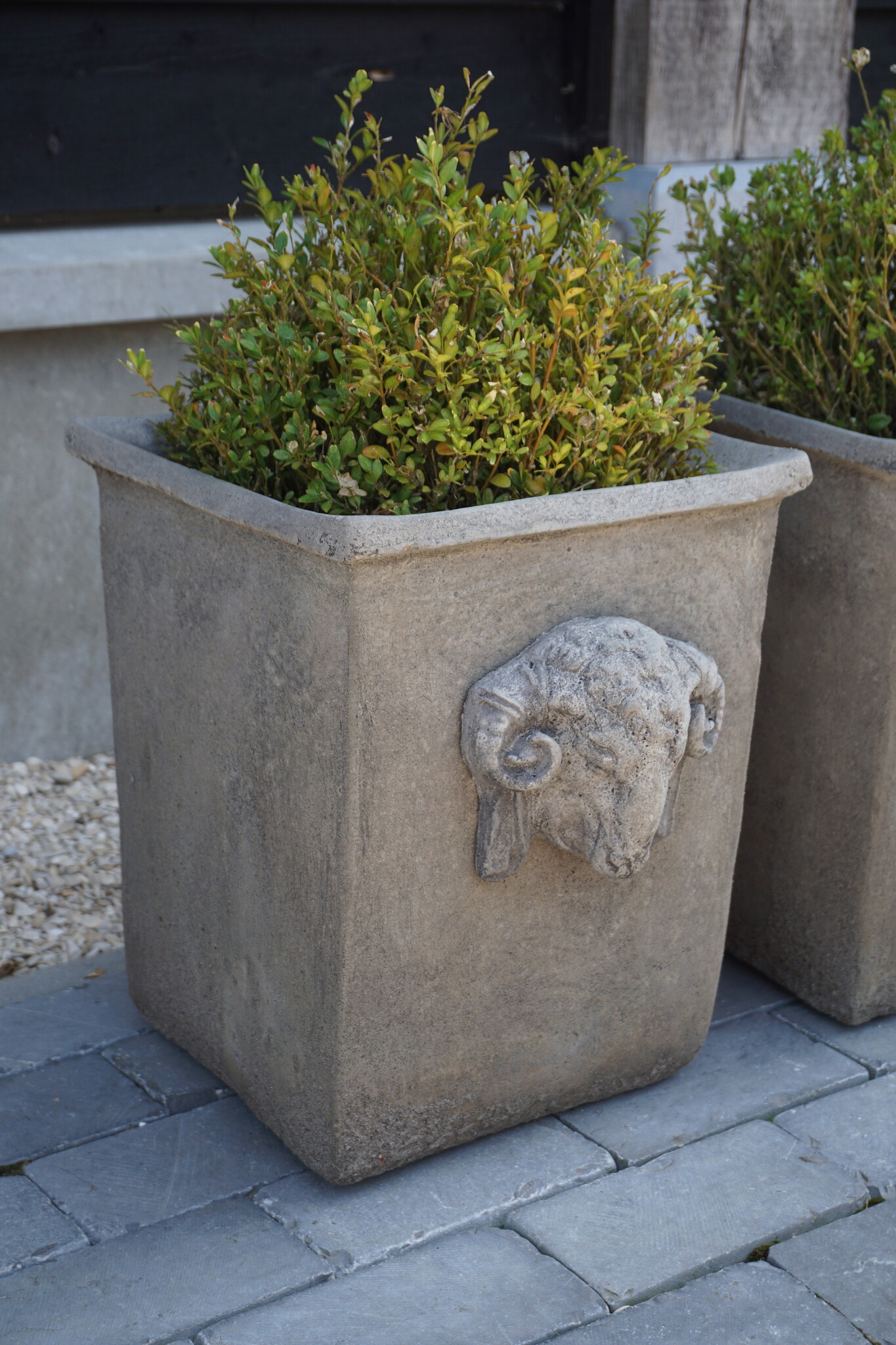 Il Cupido Pot Bloembak Beton Ramskop H40 x B33 Cm