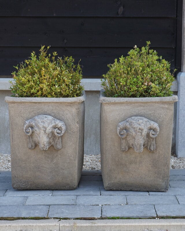 Il Cupido Pot Bloembak Beton Ramskop H40 x B33 Cm