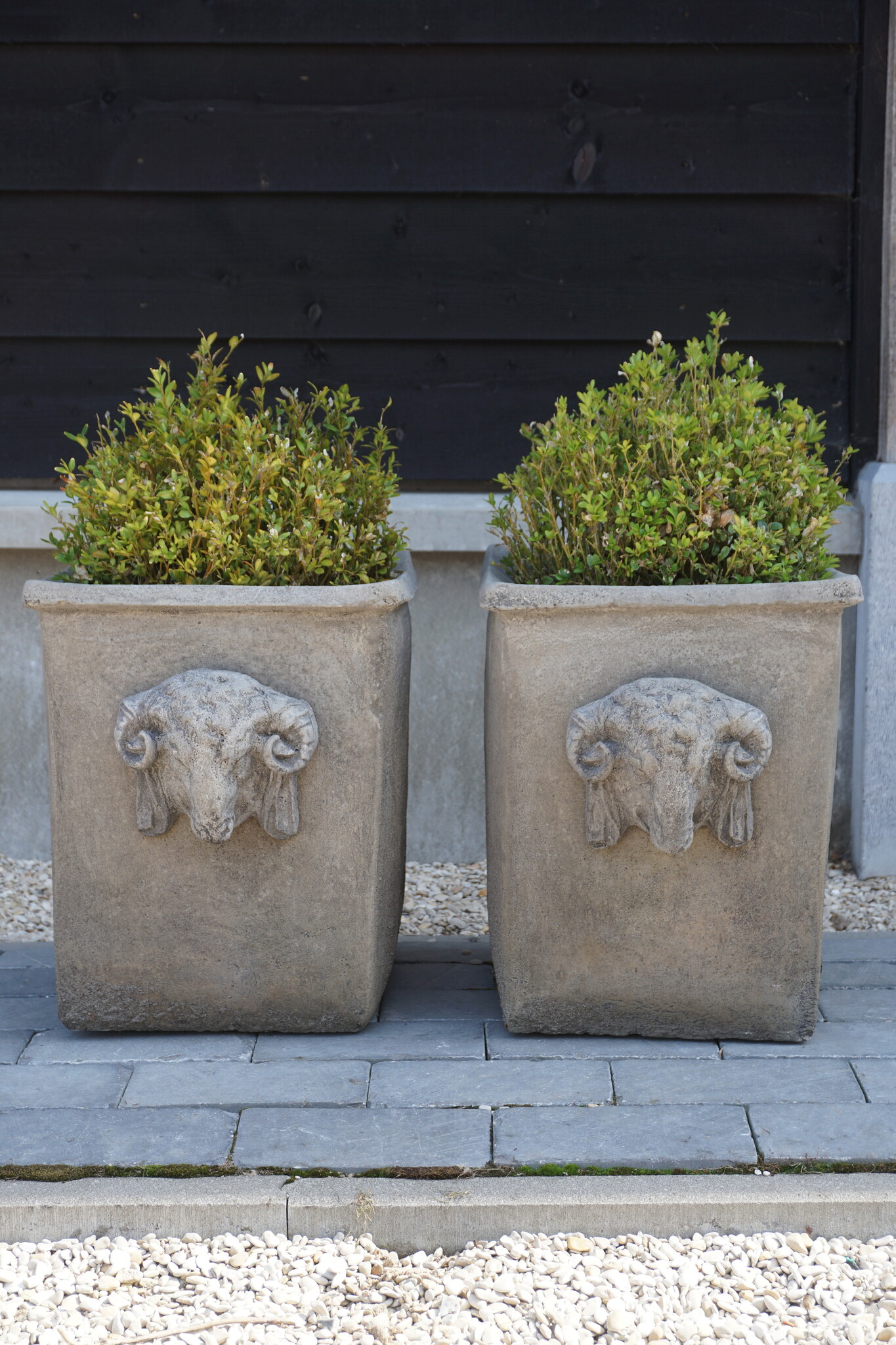 Il Cupido Pot Bloembak Beton Ramskop H40 x B33 Cm