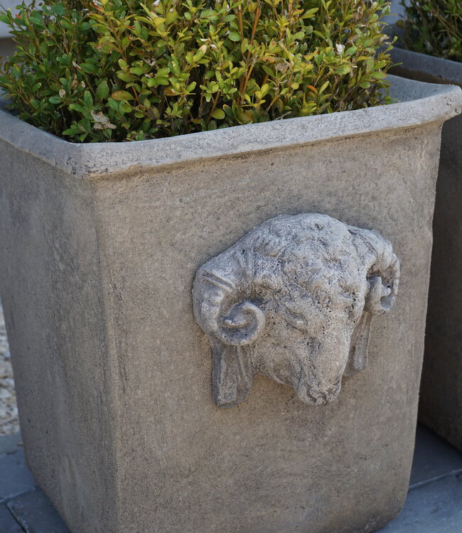 Il Cupido Pot Bloembak Beton Ramskop H40 x B33 Cm