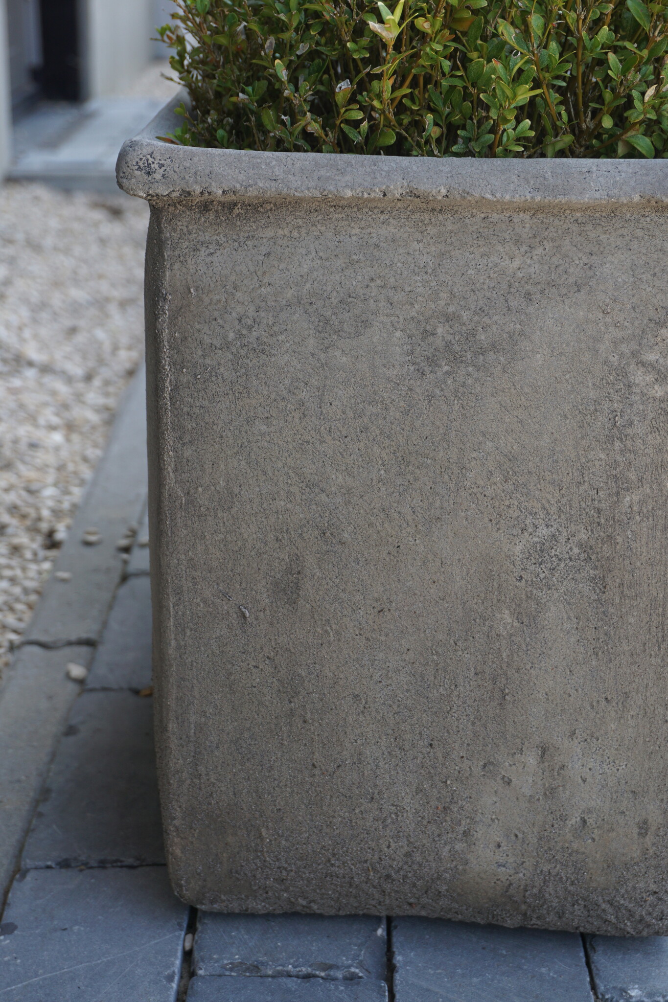 Il Cupido Pot Bloembak Beton Ramskop H40 x B33 Cm