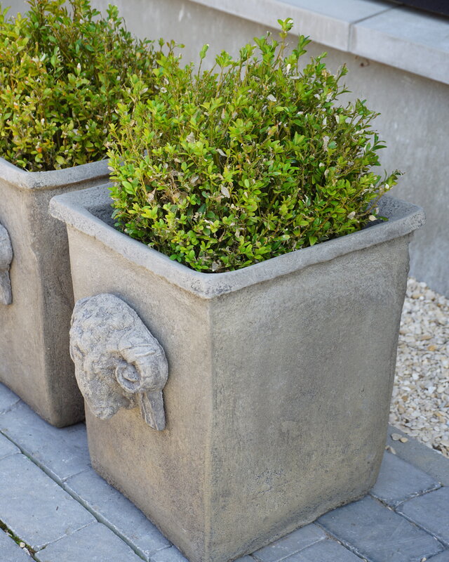 Il Cupido Pot Bloembak Beton Ramskop H40 x B33 Cm