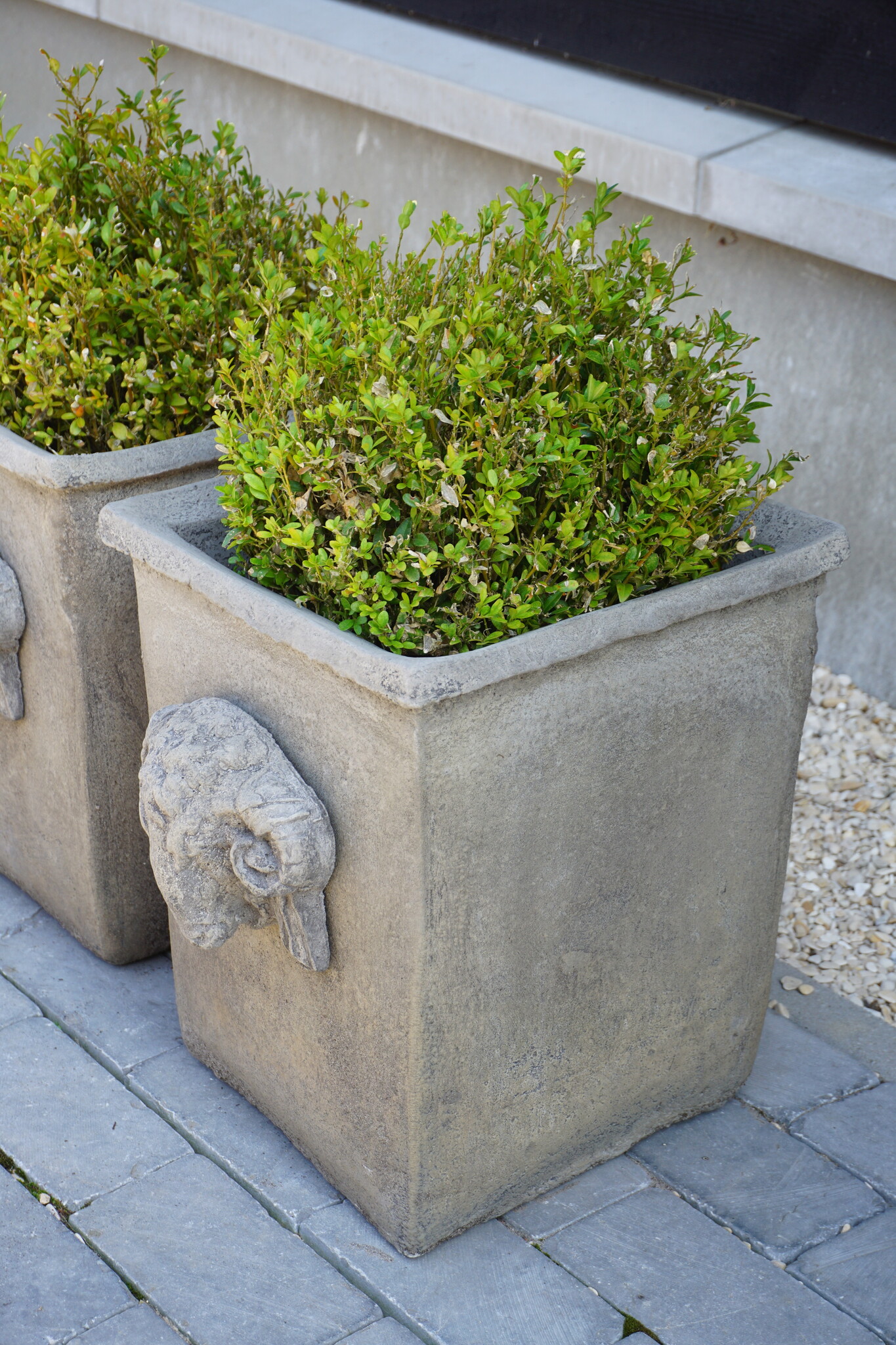 Il Cupido Pot Bloembak Beton Ramskop H40 x B33 Cm