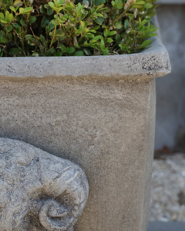 Il Cupido Pot Bloembak Beton Ramskop H40 x B33 Cm