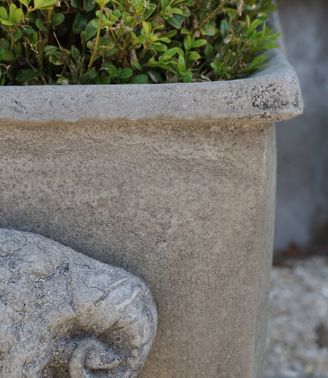 Il Cupido Pot Bloembak Beton Ramskop H40 x B33 Cm