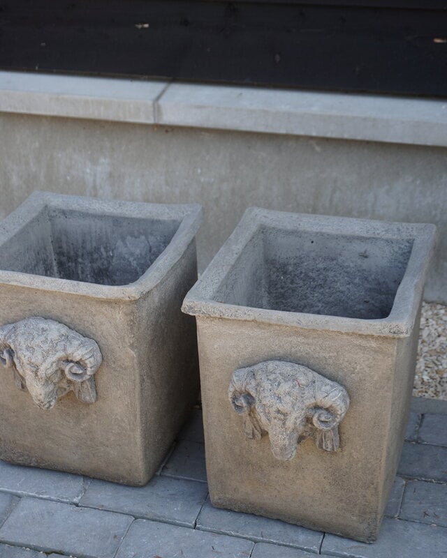 Il Cupido Pot Bloembak Beton Ramskop H40 x B33 Cm
