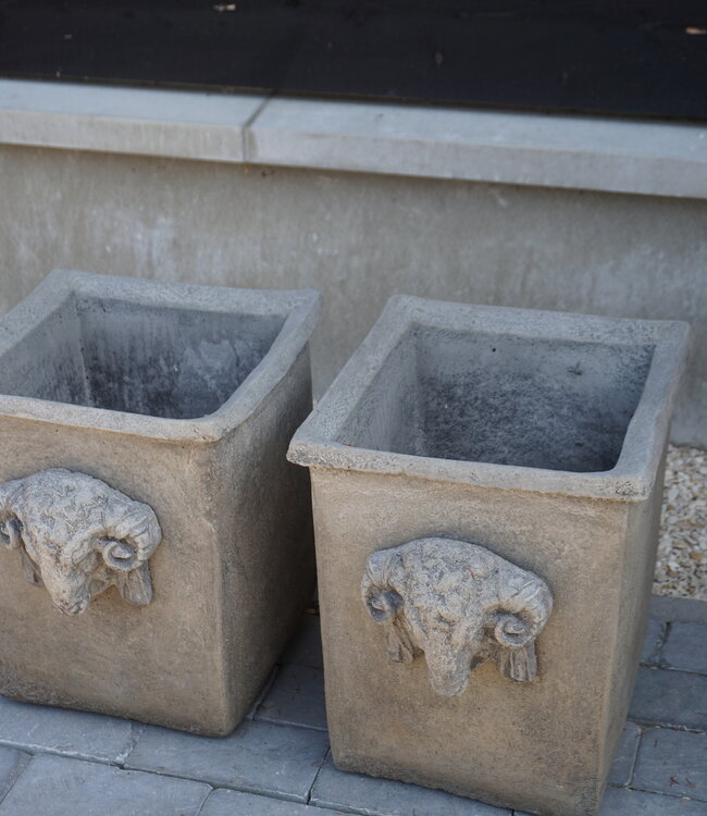 Il Cupido Pot Bloembak Beton Ramskop H40 x B33 Cm