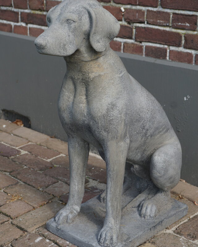 Il Cupido Betonnen Hond Beeld Op Voet H75 Cm