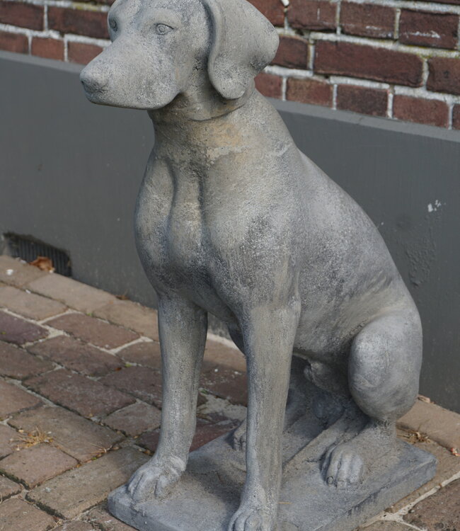 Il Cupido Betonnen Hond Beeld Op Voet H75 Cm