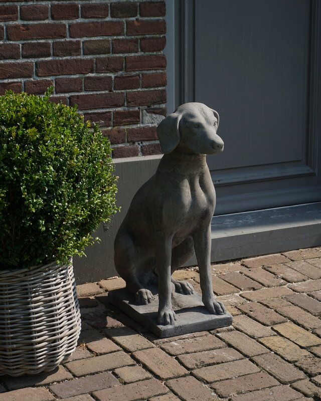 Il Cupido Betonnen Hond Beeld Op Voet H75 Cm