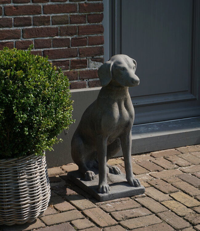 Il Cupido Betonnen Hond Beeld Op Voet H75 Cm