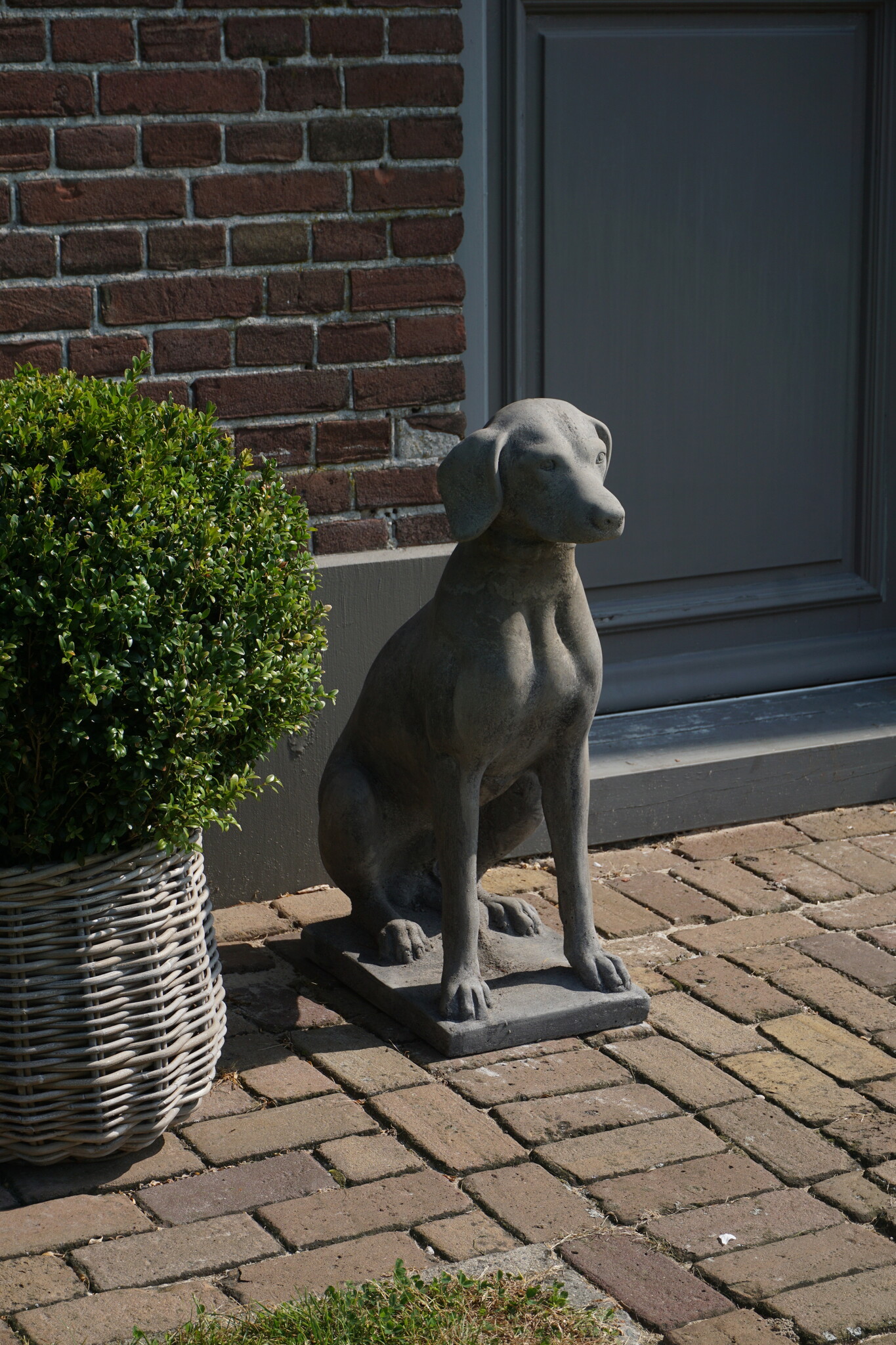 Il Cupido Betonnen Hond Beeld Op Voet H75 Cm